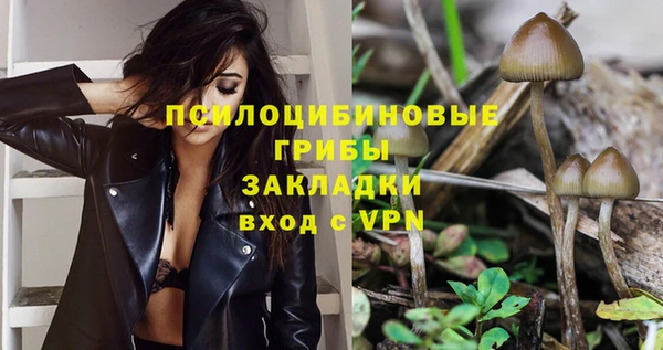 spice Приозерск