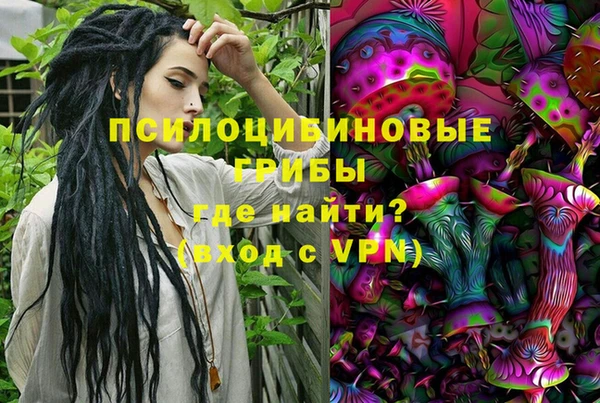 дживик Протвино