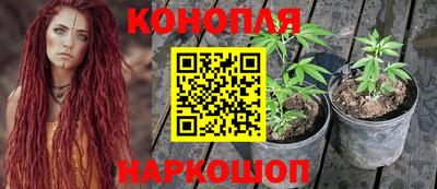 каннабис Гусев