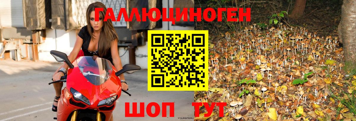 Псилоцибиновые грибы ЛСД  Псилоцибиновые грибы мухоморы  Кострома  Вход с VPN 